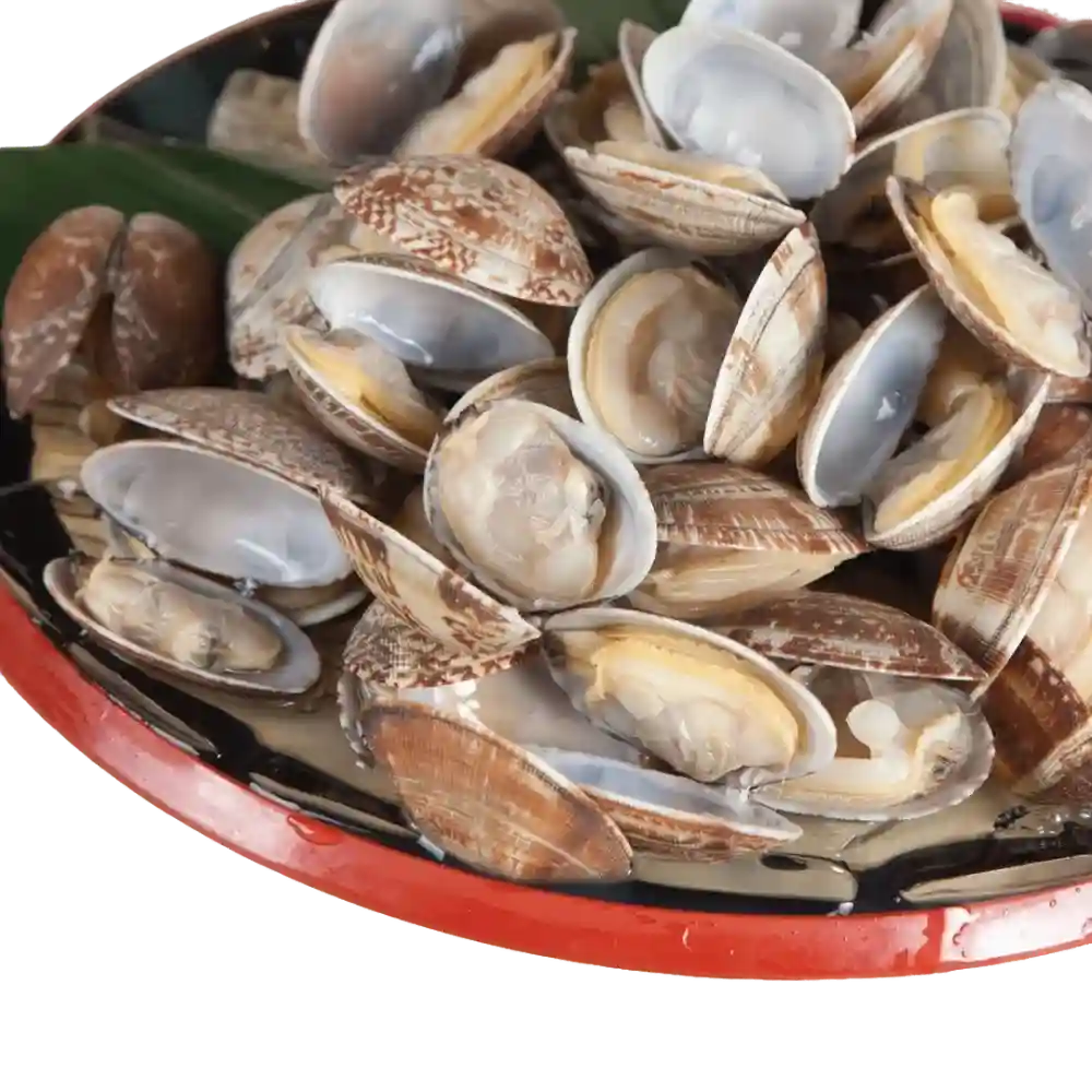 Asari (500g)