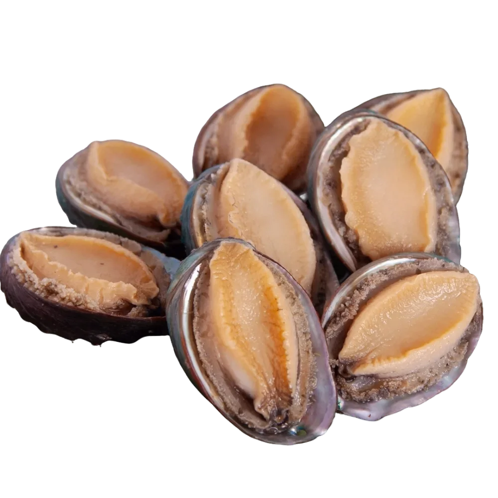 Baby Abalone (8pcs)