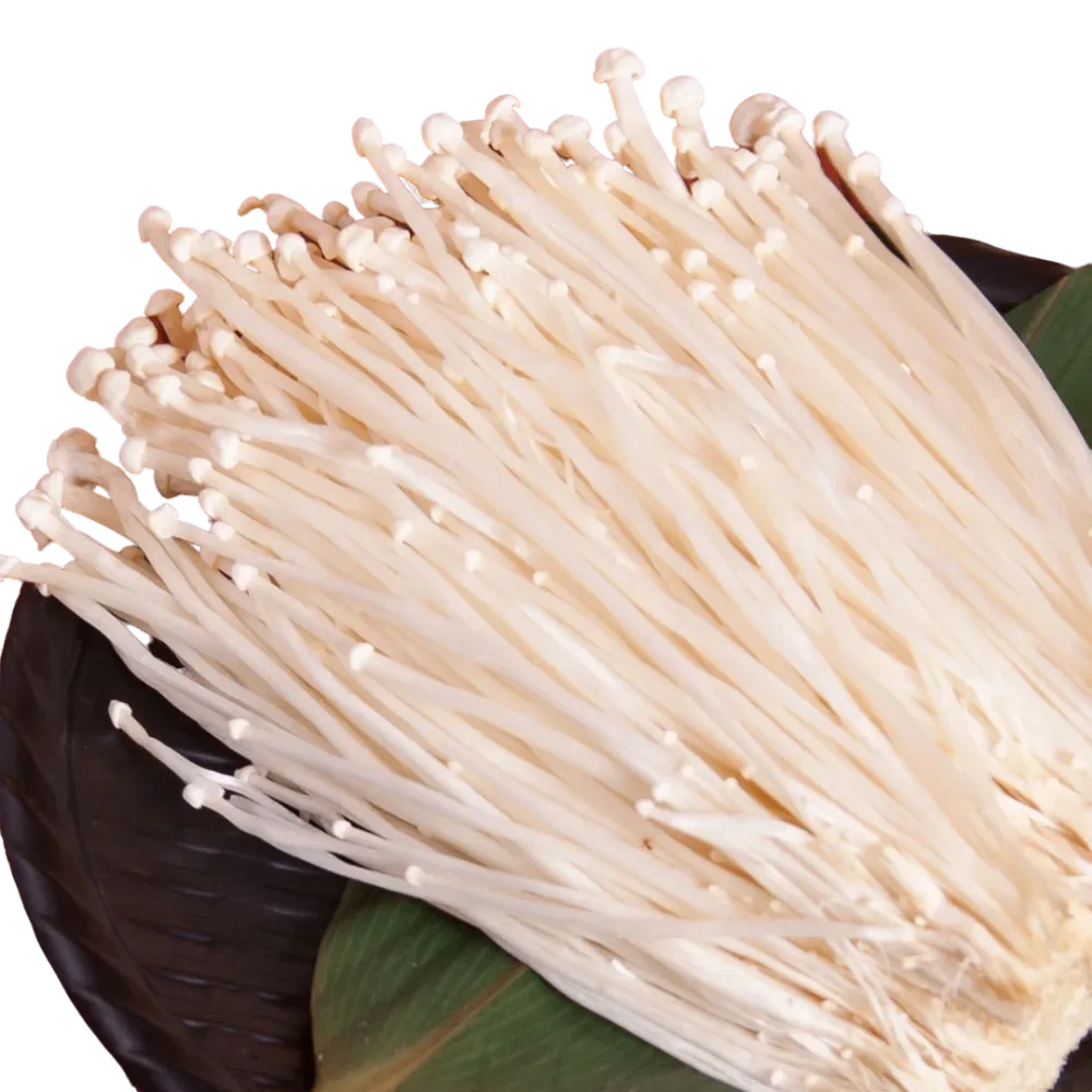 Golden Mushroom (100g)