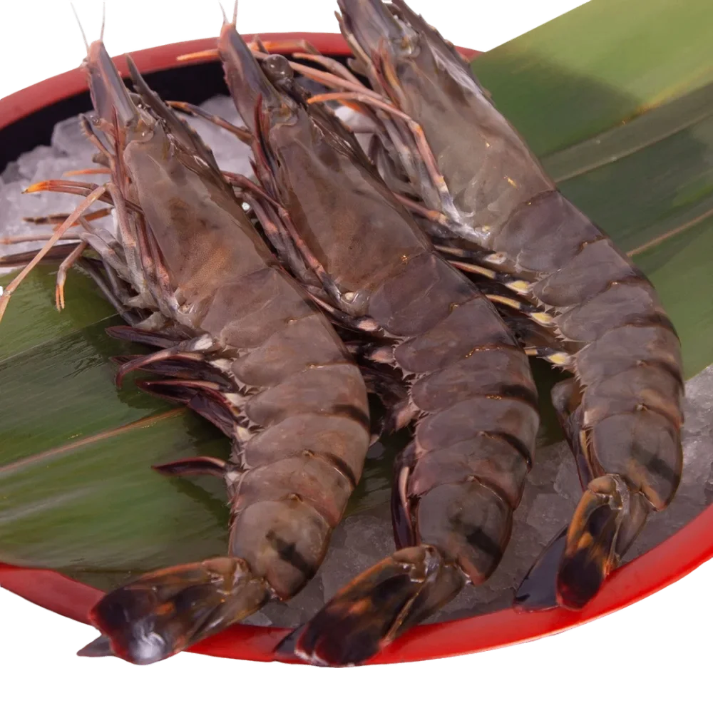 King Tiger Prawn (3pcs)