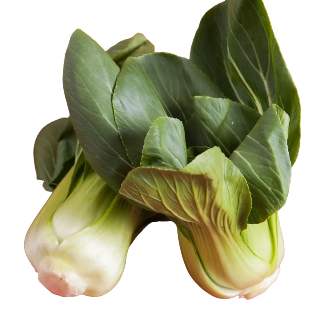 Shanghai Green (200g)