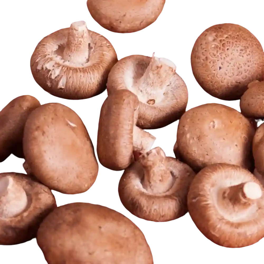 Shiitake Mushroom (100g)